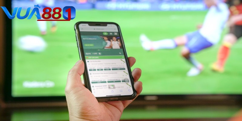 Bật mí các hình thức đặt cược phổ biến được nhiều người áp dụng