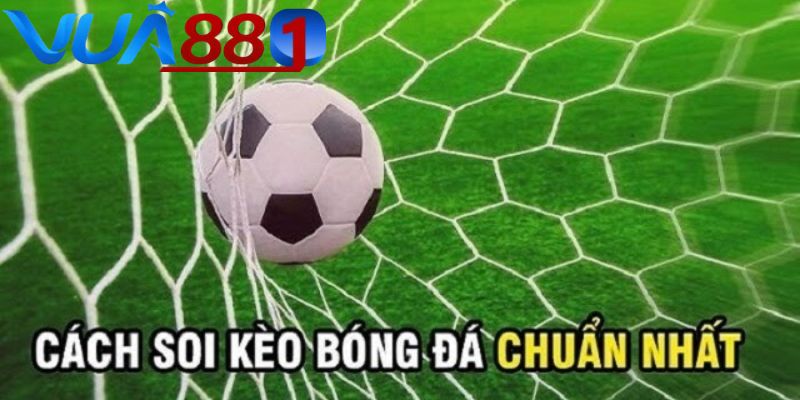 Mẹo soi kèo bóng đá chuẩn xác từ các chuyên gia VUA88.