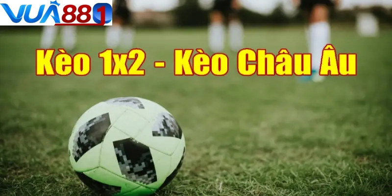 Tỷ lệ cá cược bóng đá châu Âu đơn giản, phù hợp người mới